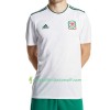 Fußballtrikots Wales 2018 Kurzarm Auswärts-trikot kaufen